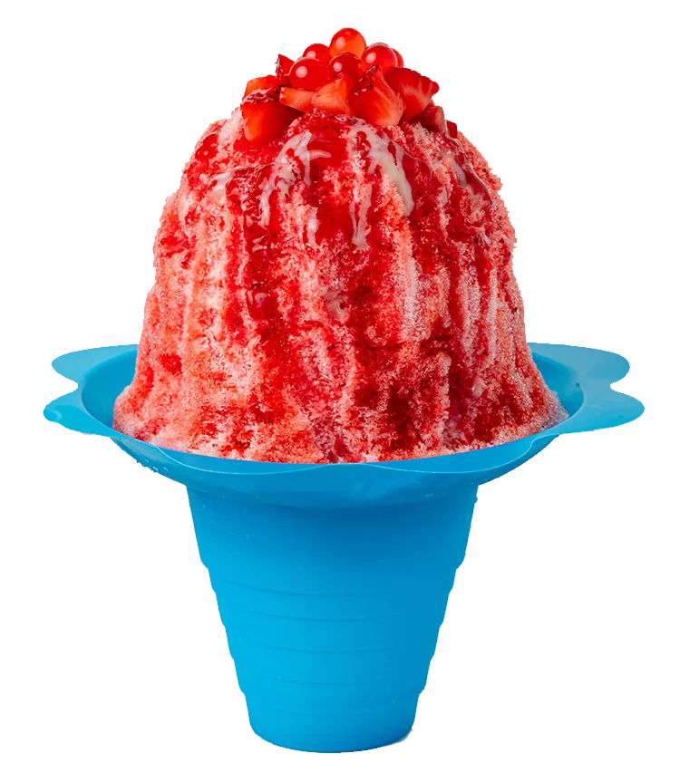 Hawaiian shave ice Houston