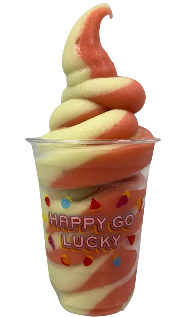 Hawaiian shave ice Houston